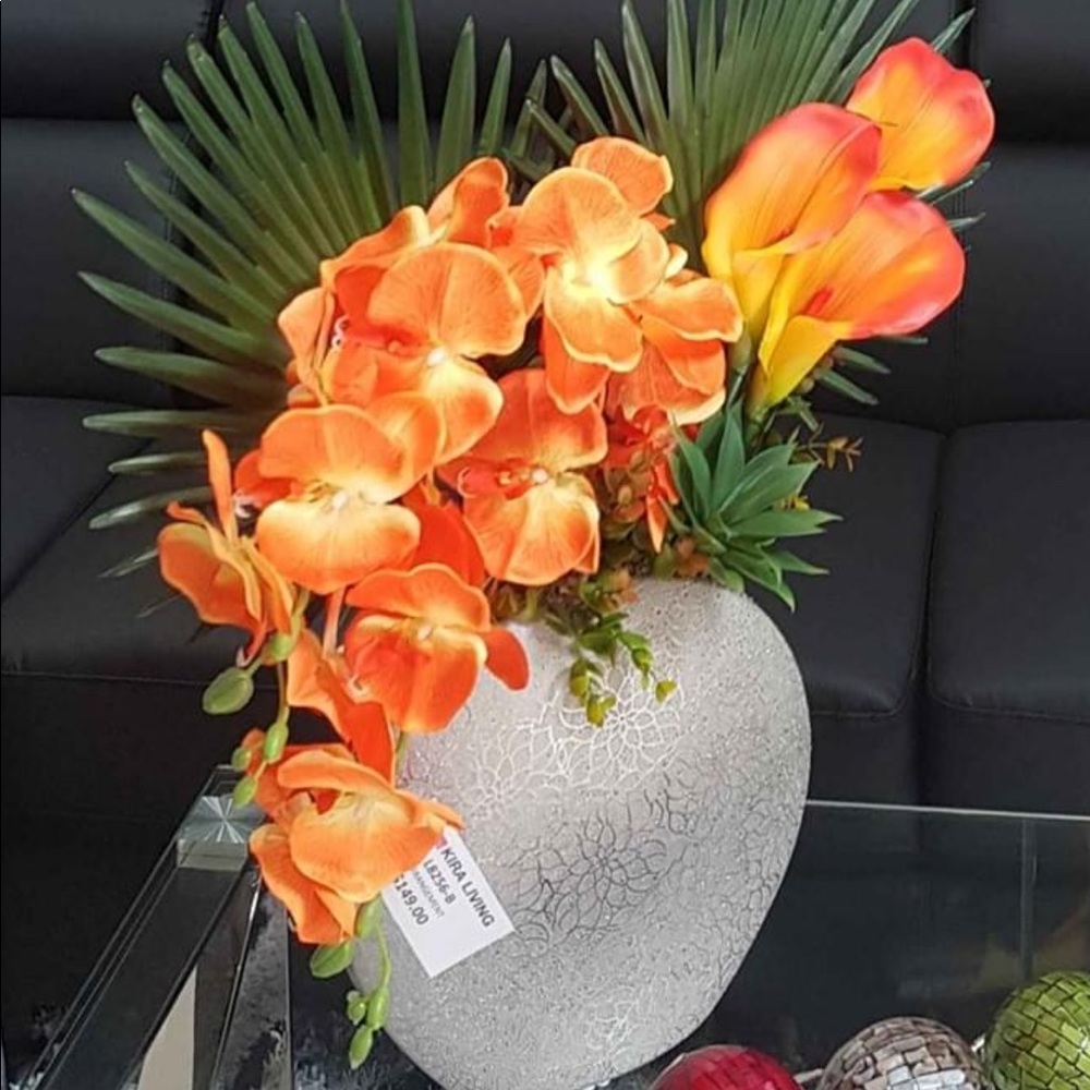 Meet your Posher, Jany